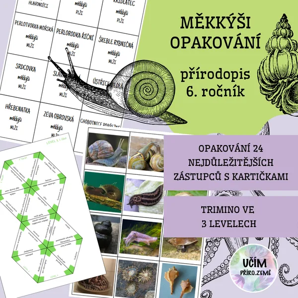 Měkkýši - opakování 1