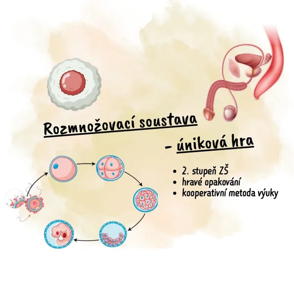 Rozmnožovací soustava - úniková hra 1
