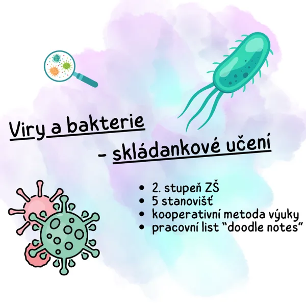 Viry a bakterie - skládankové učení 1