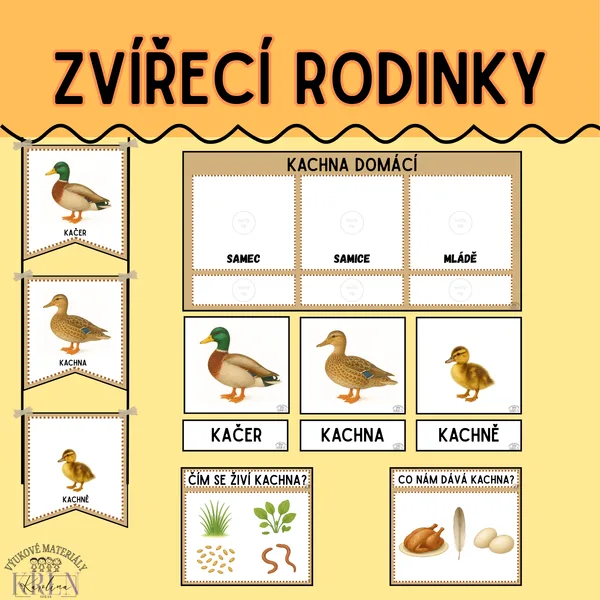 DOMÁCÍ ZVÍŘATA A JEJICH MLÁĎATA 1