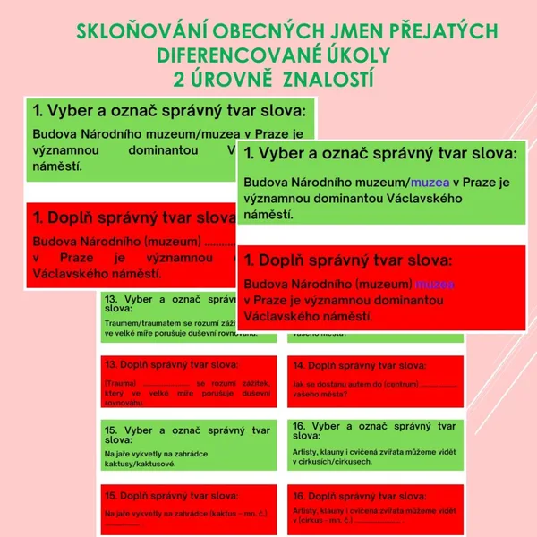 Skloňování obecných jmen přejatých - diferencované úkoly 1