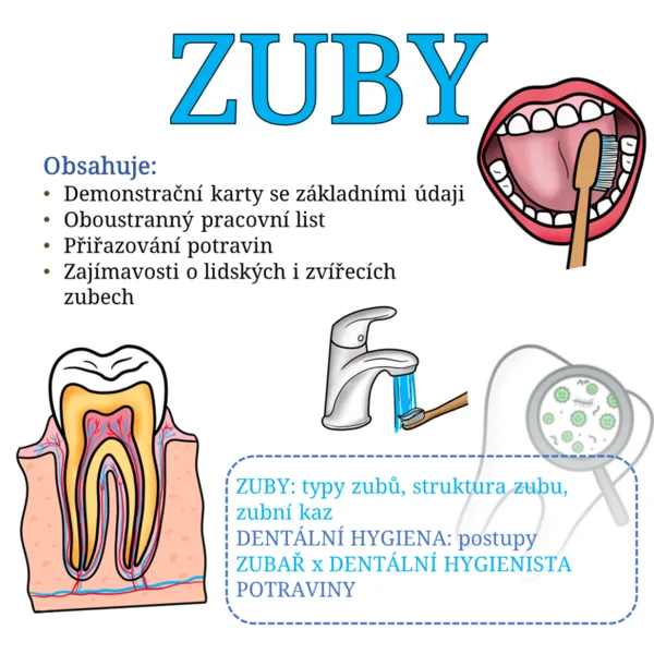 Zuby: soubor materiálů + pracovní list 1