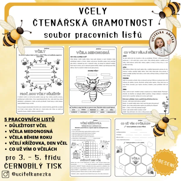 VČELY - ČTENÁŘSKÁ GRAMOTNOST 1