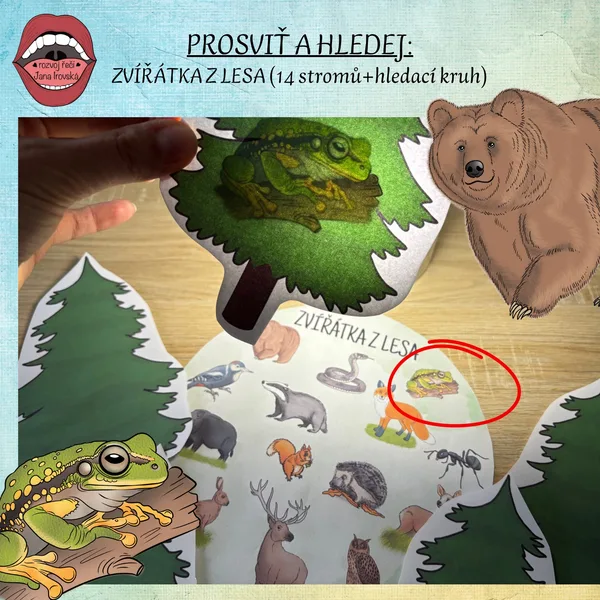 PROSVIŤ A NAJDI: ZVÍŘÁTKA Z LESA 1