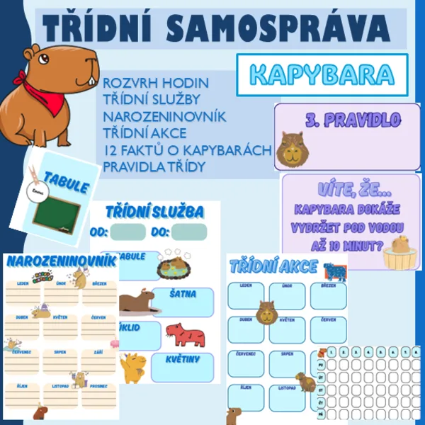 Třídní samospráva - kapybara 1