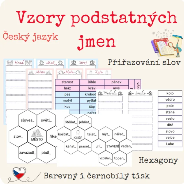 Vzory podstatných jmen - přiřazování  1
