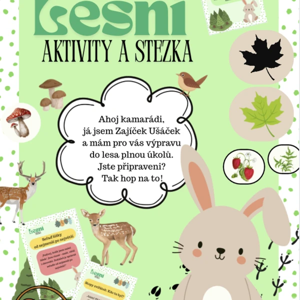 AKTIVITY Z LESA (Les, stezka, příroda) 1