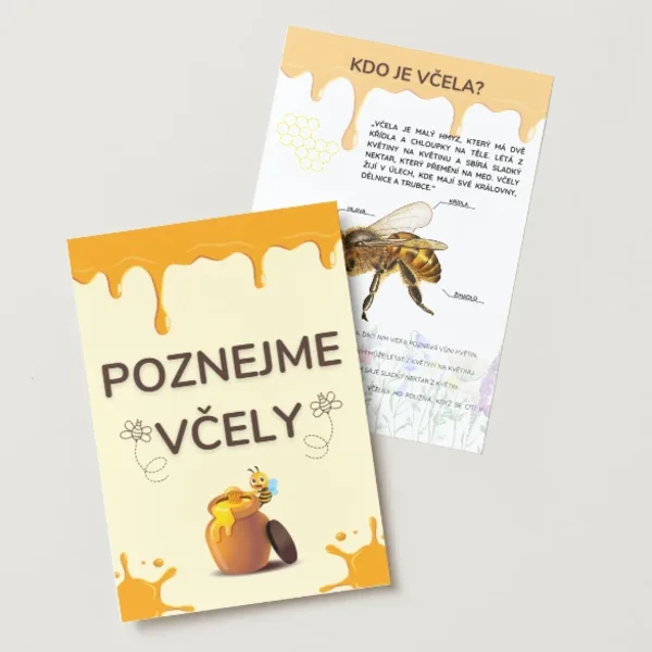 POZNEJME VČELY - Světový den včel 1