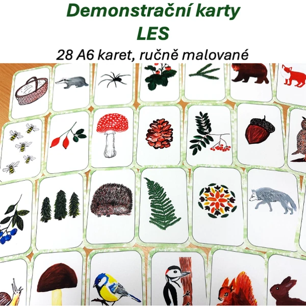 LES - Demonstrační karty 1