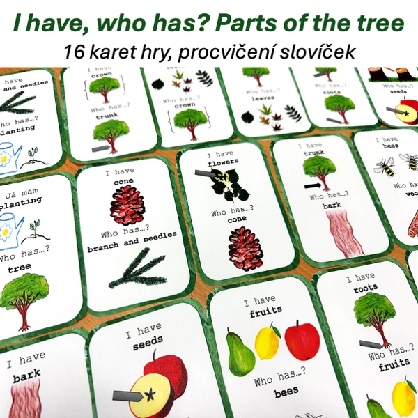 I have, who has? Trees, parts of the tree 1