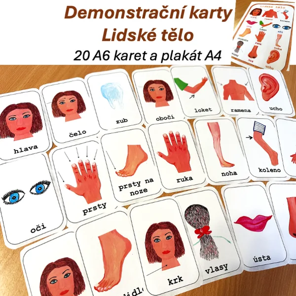Lidské tělo - demonstrační obrázky 1
