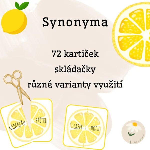 Synonyma 1