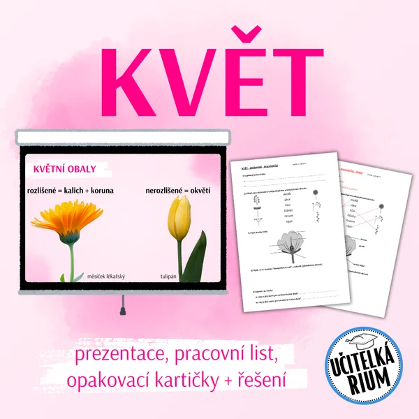 KVĚT - prezentace, pracovní list a opakovací kartičky 1
