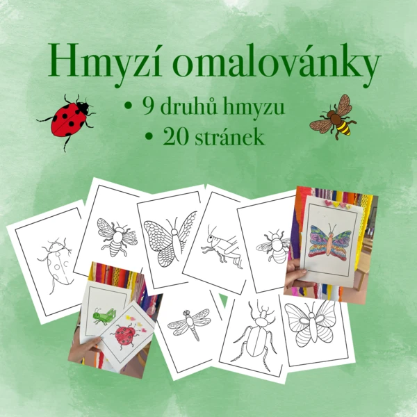 Hmyzí omalovánky 1