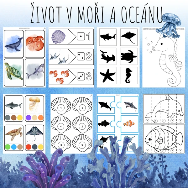 ŽIVOT V MOŘI A OCEÁNU 1