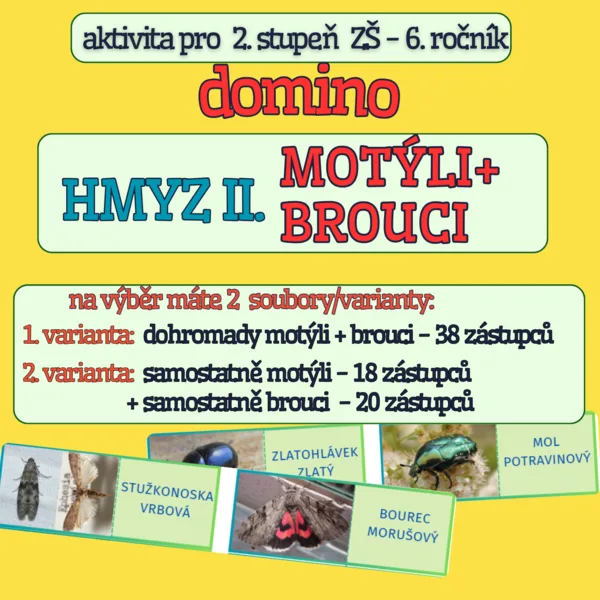 Domino - HMYZ II. MOTÝLI A BROUCI 1