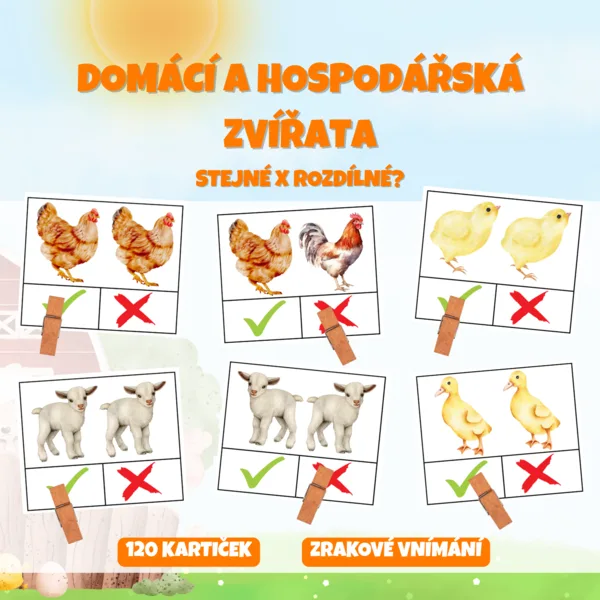 DOMÁCÍ A HOSPODÁŘSKÁ ZVÍŘATA - stejné x rozdílné? 1