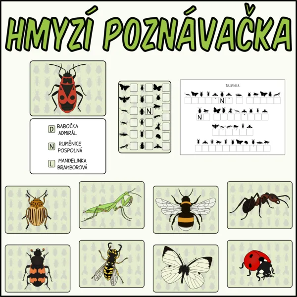Hmyz - Poznávačka 1
