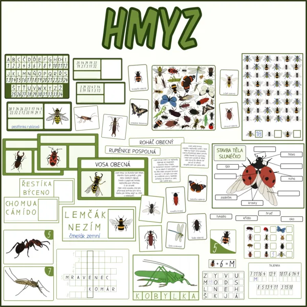 Hmyz - Sada aktivit 1