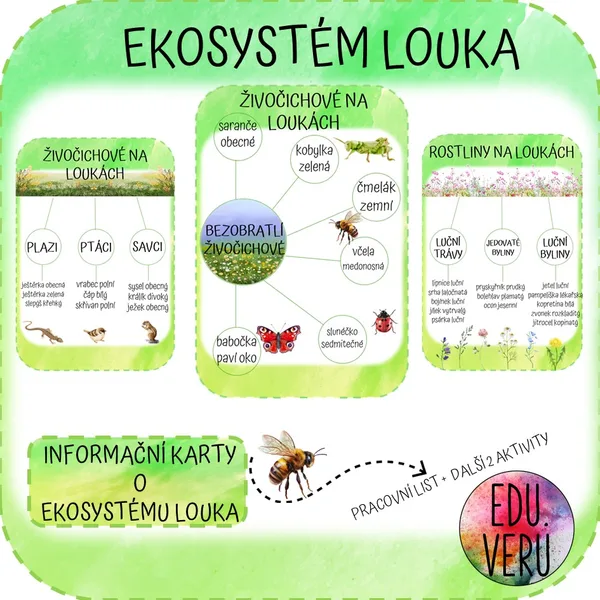 Ekosystém louka 1