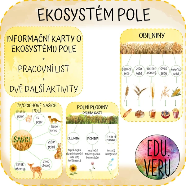 Ekosystém pole 1