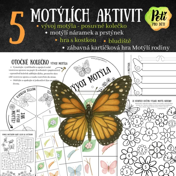 5 motýlích aktivit 1