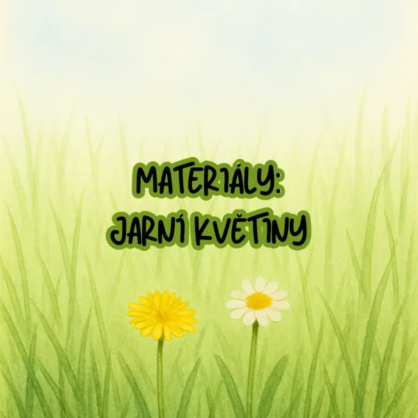 Jarní květiny 1