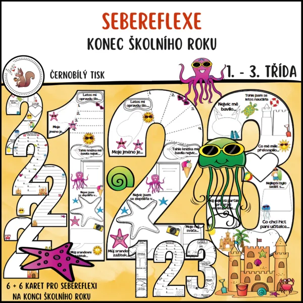 Sebereflexe / reflexe - konec školního roku 1