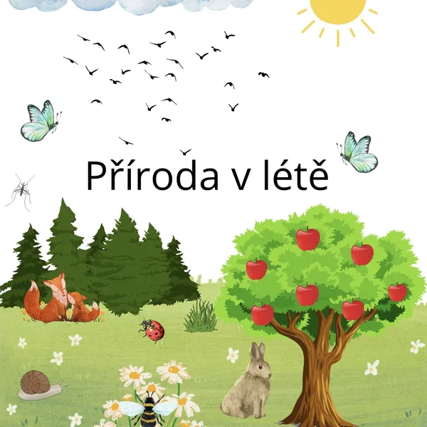 Příroda v létě 🌞🍓 1