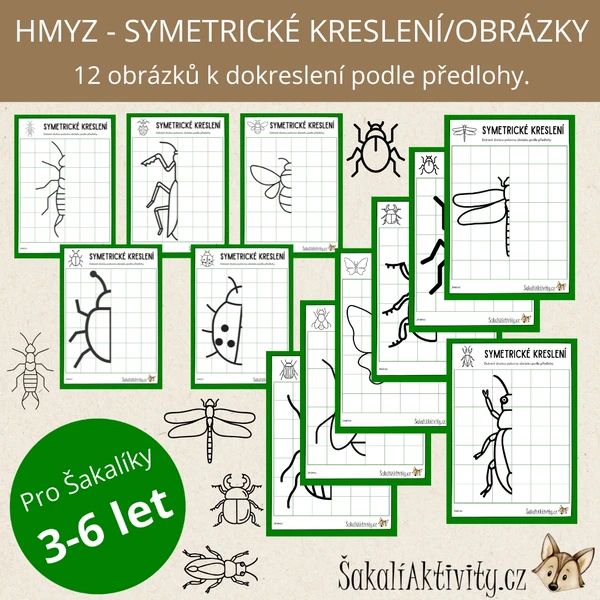  Symetrické obrázky/kreslení - HMYZ  1