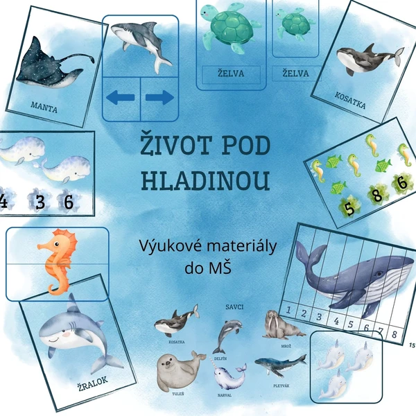 Život pod hladinou 🐠 1