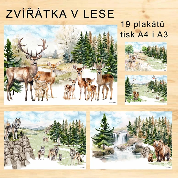 ZVÍŘÁTKA V LESE - PLAKÁTY 1