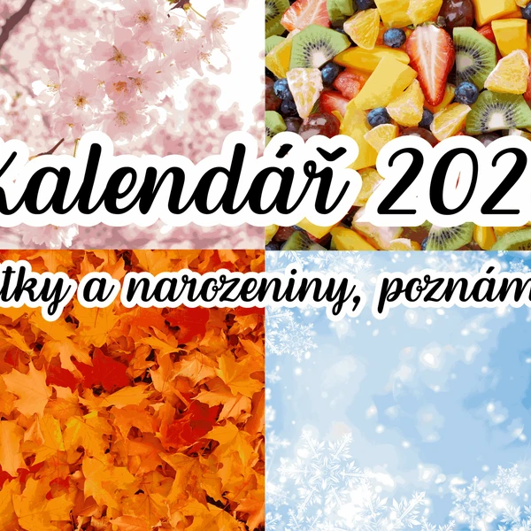 Měsíční kalendář na rok 2026 1