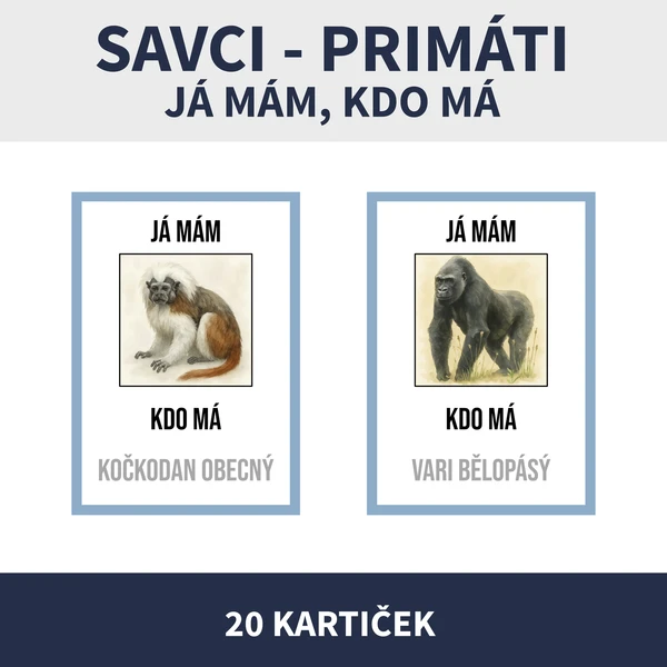 SAVCI PRIMÁTI - JÁ MÁM, KDO MÁ 1