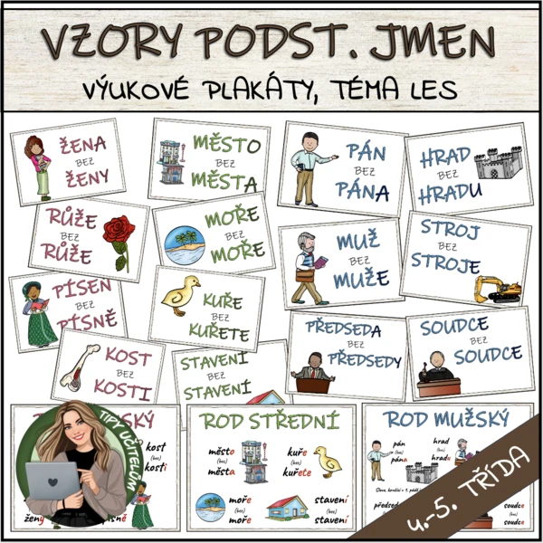 Vzory podstatných jmen - přehledové karty, téma LES 1