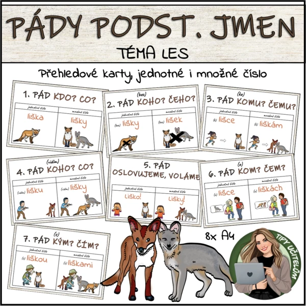 Pádové otázky, pády - téma LES 1