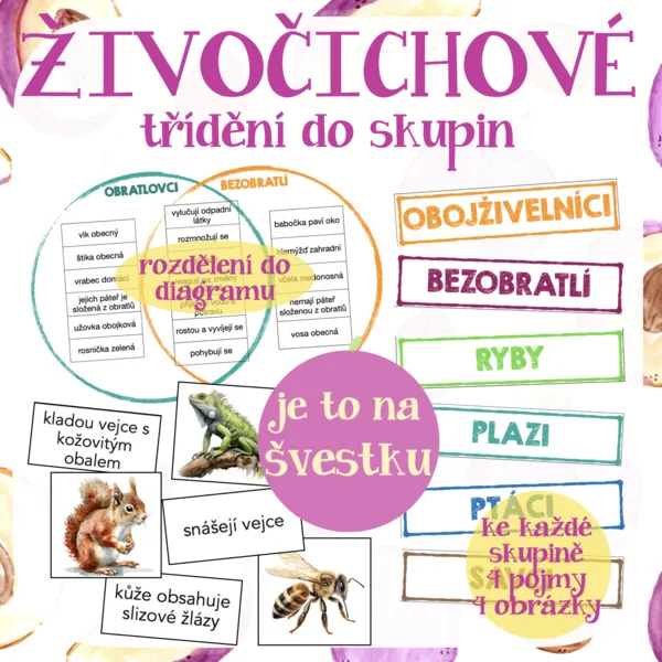 Živočichové - rozdělení do skupin 1