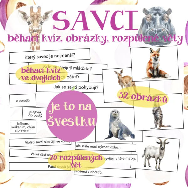 Savci - 3 aktivity 1