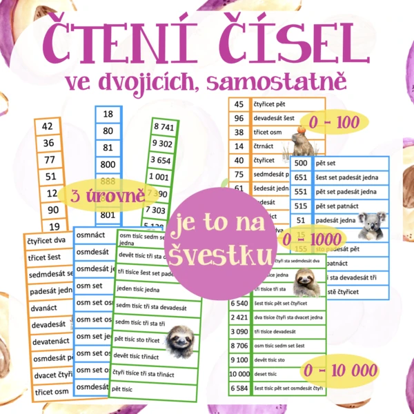 Čtení čísel - 0 - 10 000 1