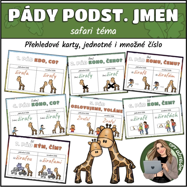 Pády, pádové otázky - safari téma 1