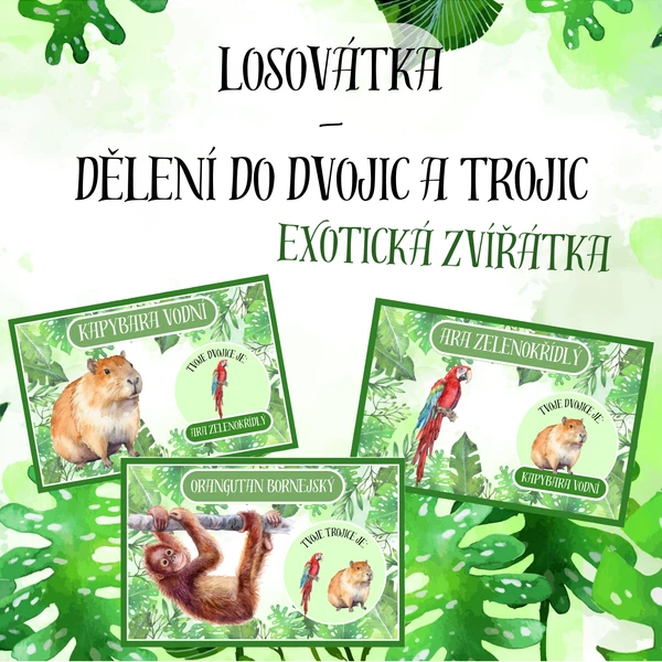 Losovátka - dělení do dvojic a trojic 1
