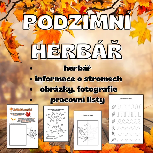 Podzimní herbář  1