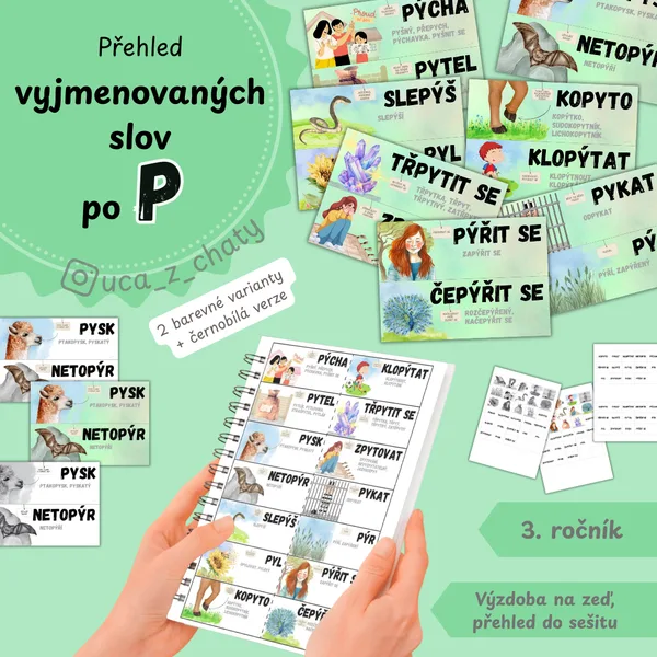 Přehled vyjmenovaných slov po P 1
