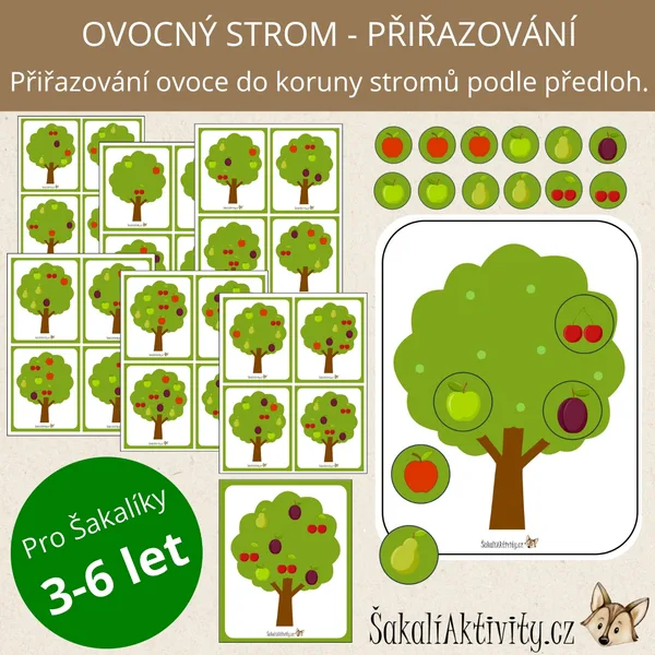  OVOCNÝ STROM - přiřazovací aktivita  1