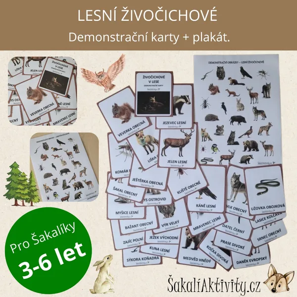  Lesní živočichové - demonstrační karty  1