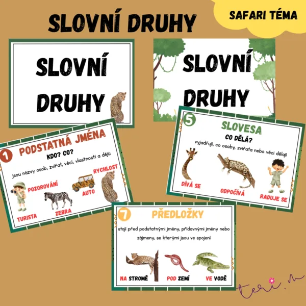 SLOVNÍ DRUHY - téma SAFARI 1