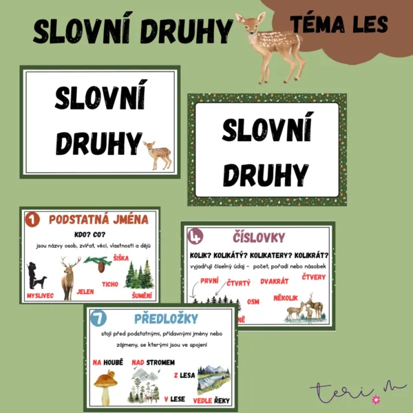 SLOVNÍ DRUHY - téma LES 1