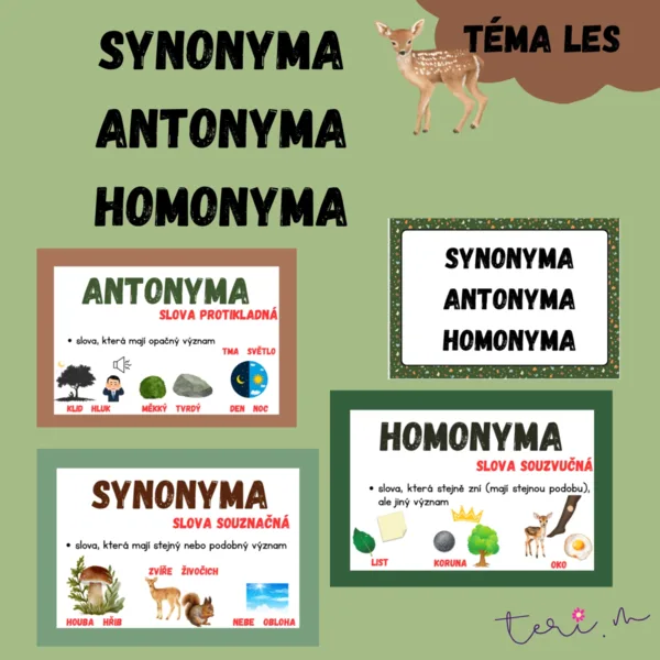 SYNONYMA, ANTONYMA, HOMONYMA - téma LES 1