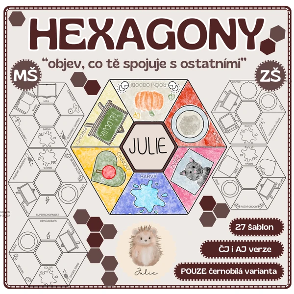 TŘÍDNÍ HEXAGONOVÁ MOZAIKA  1