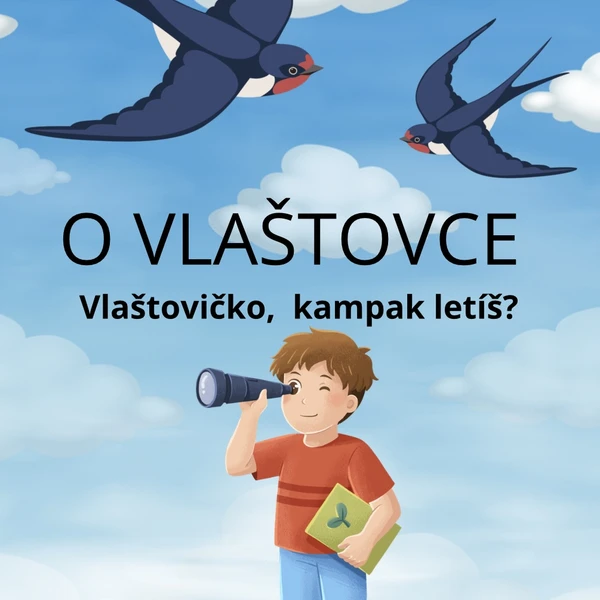 O vlaštovce  1